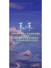 深入了解 蓝导航小鸟导航
